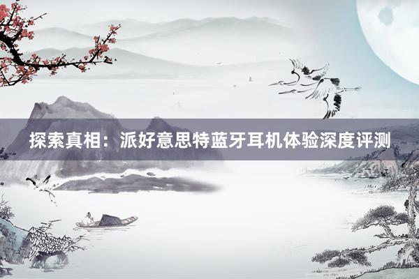探索真相：派好意思特蓝牙耳机体验深度评测